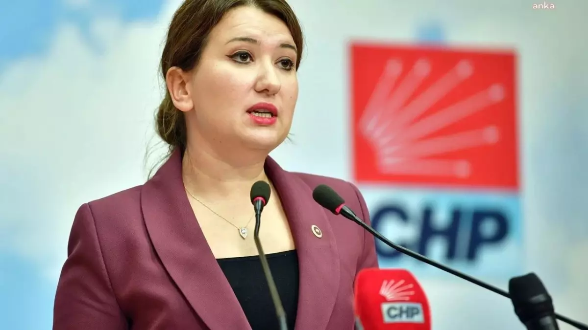 CHP’li Gökçen’den Ak Partili Çelik’e Tepki: “Katledilen Kadınlar, Serbest Kalan Katiller Algı Değil Gerçek”